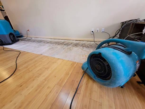 Professional Water Damage Repair technician working in Titusville, PA
